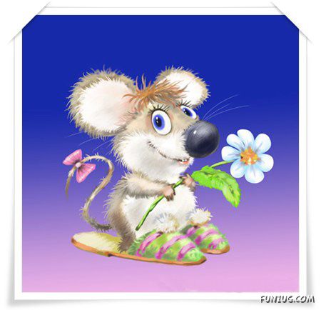 Valentine Day__sMs Collection